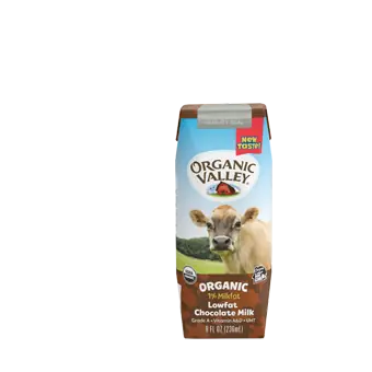Organic Chocolate Milk