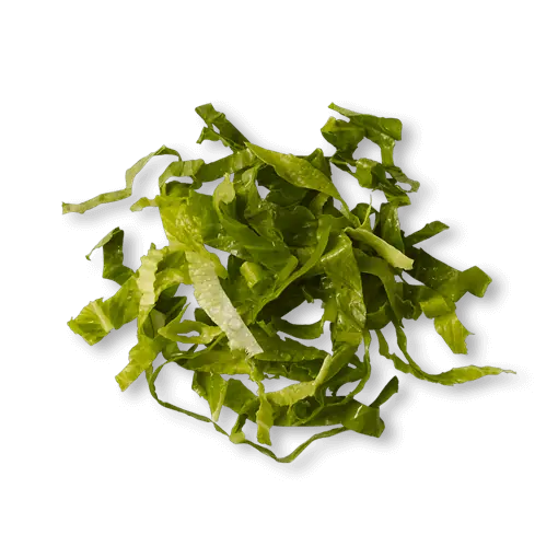 Romaine Lettuce